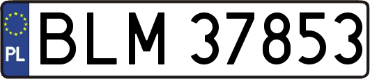 BLM37853