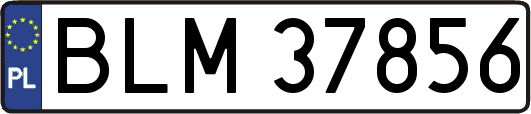 BLM37856