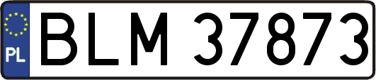 BLM37873