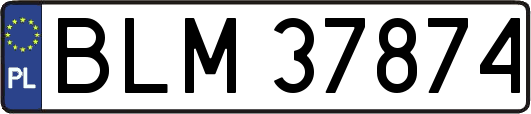 BLM37874