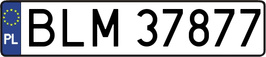 BLM37877