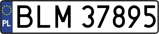 BLM37895