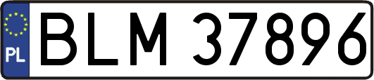 BLM37896