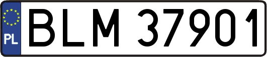 BLM37901