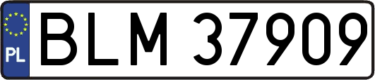 BLM37909