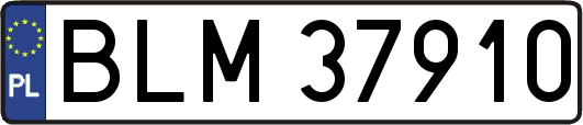 BLM37910