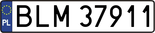 BLM37911