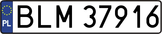 BLM37916