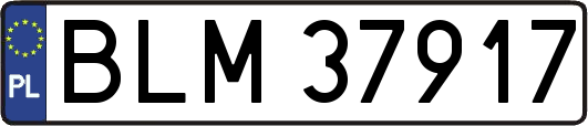 BLM37917