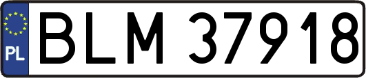 BLM37918