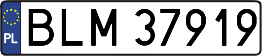 BLM37919
