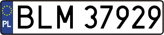 BLM37929