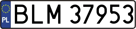 BLM37953