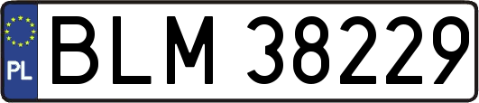 BLM38229