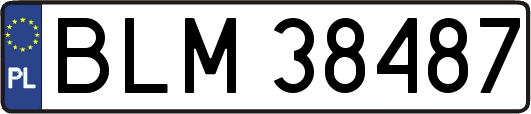 BLM38487