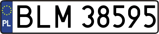 BLM38595