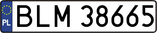 BLM38665