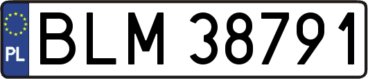 BLM38791