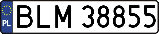 BLM38855