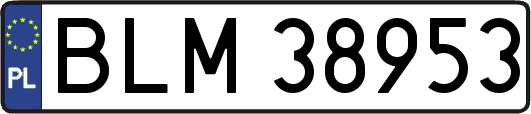BLM38953