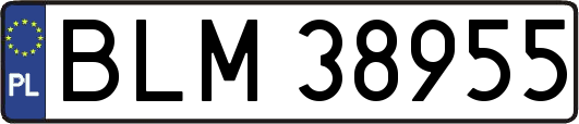 BLM38955