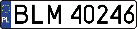 BLM40246