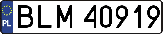 BLM40919