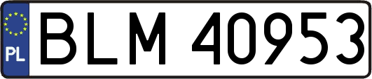 BLM40953