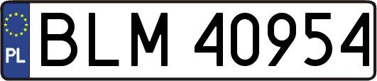 BLM40954