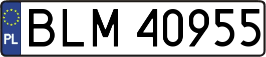 BLM40955