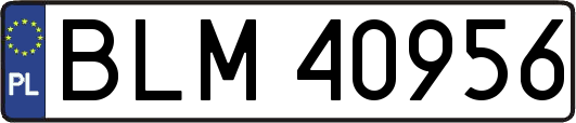 BLM40956