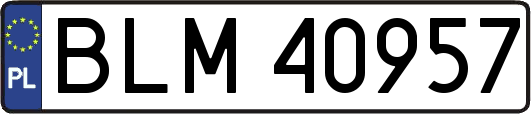 BLM40957