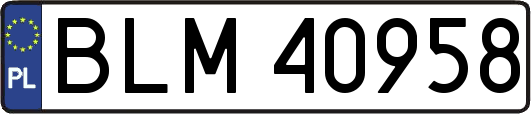 BLM40958