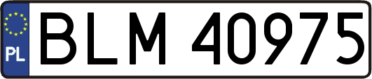 BLM40975