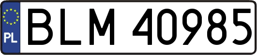 BLM40985
