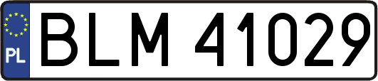 BLM41029