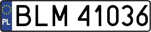 BLM41036