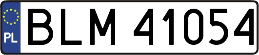 BLM41054