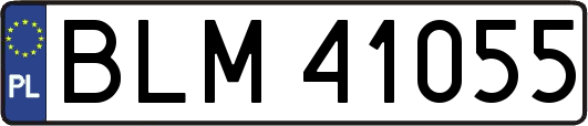 BLM41055