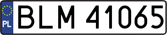 BLM41065