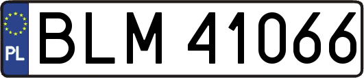 BLM41066