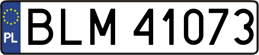 BLM41073