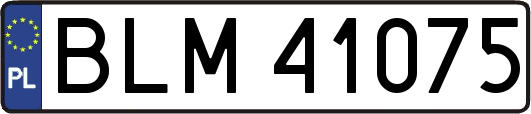 BLM41075