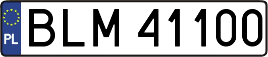 BLM41100