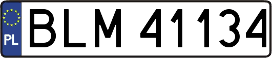 BLM41134