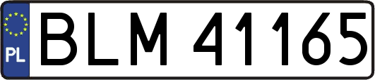 BLM41165