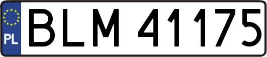 BLM41175