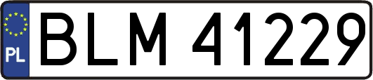BLM41229