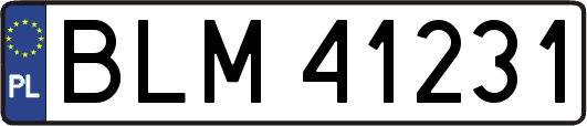 BLM41231