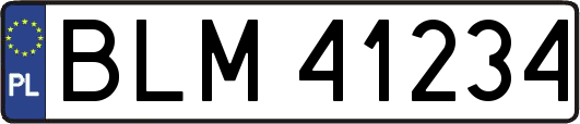 BLM41234